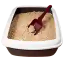 Arena para gatos