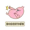 Ayuda a la digestion 