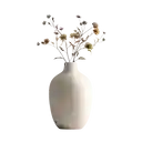 Complementos