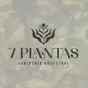 7 Plantas Rionegro