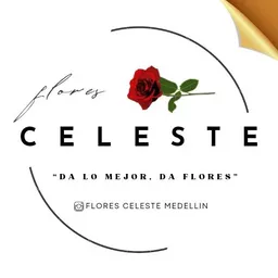 Flores Celeste Bogotá Nuevo
