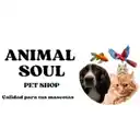 Animal Soul