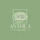 Anthea Floristeria