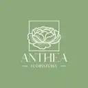 Anthea Floristeria