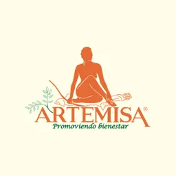 Artemisa Centro con Servicio a Domicilio