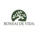 Bonsai De Vida 73