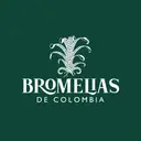 Bromelias De Colombia Fusagasugá