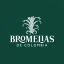 Bromelias De Colombia Fusagasugá
