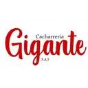 Cacharreria Gigante