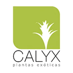 Calyx con Servicio a Domicilio