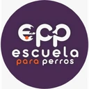 Escuela Para Perros