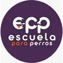 Escuela Para Perros
