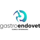 Gastroendovet