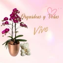 Orquídeas Y Velas Vive