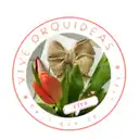 VIVE ROSAS ORQUIDEAS