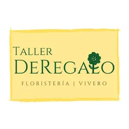 TALLER DEREGALO con Servicio a Domicilio