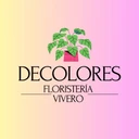 Decolores Floristeria Y Vivero