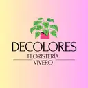 Decolores Floristeria Y Vivero