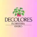 Decolores Floristeria Y Vivero