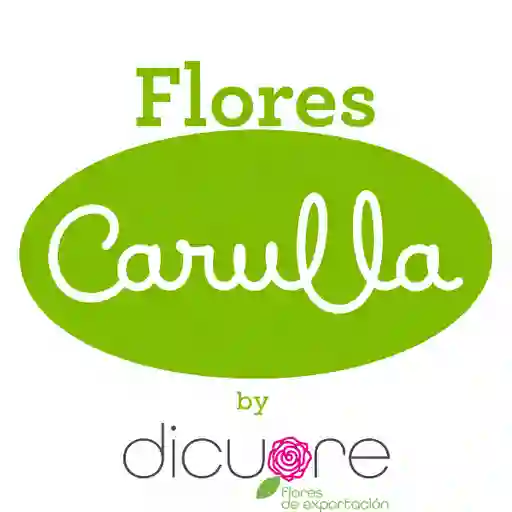 Flores Carulla, Exito Envigado