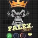 Falex Colombia