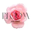 Flores Y Rosas Bloom Ant