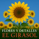 Flores Y Detalles El Girasol