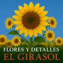 Flores Y Detalles El Girasol