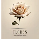 Flores Y Rosas Para Todas Las Ocaciones