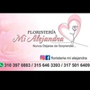 Floristeria Mi Alejandra