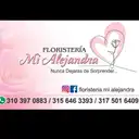 Floristeria Mi Alejandra