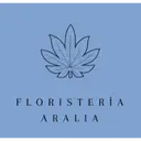 Floristeria Aralia