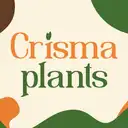 CRISMAPLANTS