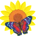 FLORISTERIA JARDIN TRICOLOR