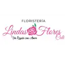 Floristeria Lindas Flores