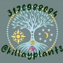 Killay Plants