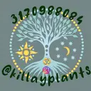 Killay Plants