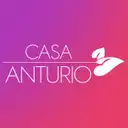 Floristeria Casa Anturio