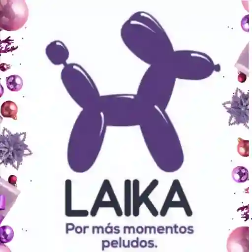 Laika, Cajicá