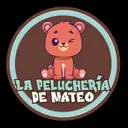 La Pelucheria De Mateo