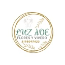 Luz Ade Vivero Y Flores