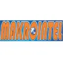 Makrointel