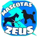 Mascotas Zeus