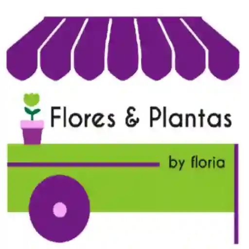 Mercado de Flores y Plantas Chia