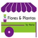 Mercado De Flores Y Plantas Ibague
