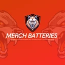 Local 234 Merch Batteries