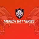 Local 234 Merch Batteries