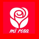 Mi Rosa