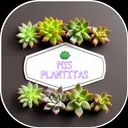 Mis Plantitas