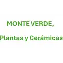 Monte Verde